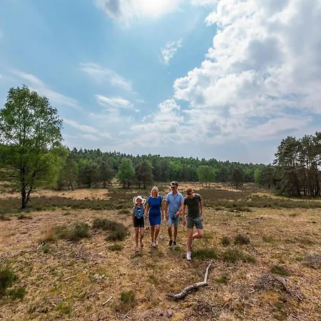 In A Park, Adjacent To The Hoge Veluwe National Park Arnhem